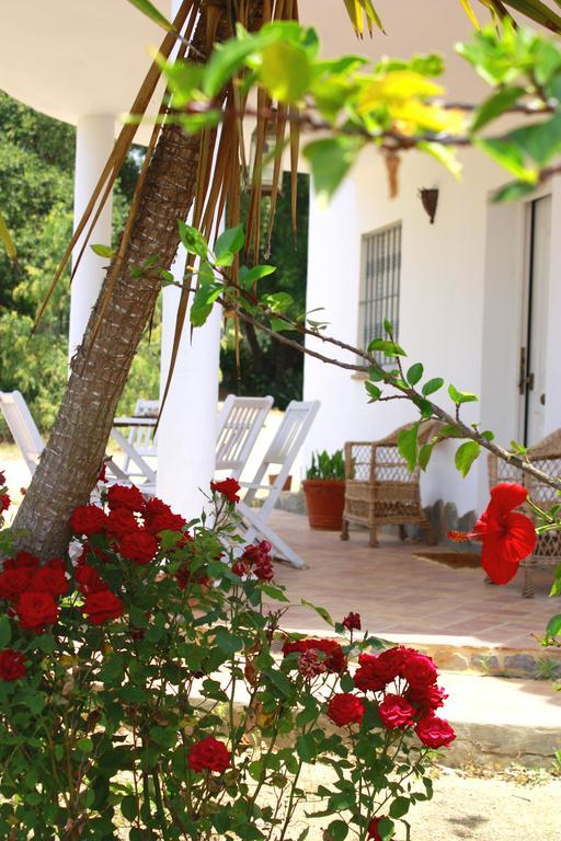 Casa El Soto Villa Vejer de la Frontera Dış mekan fotoğraf